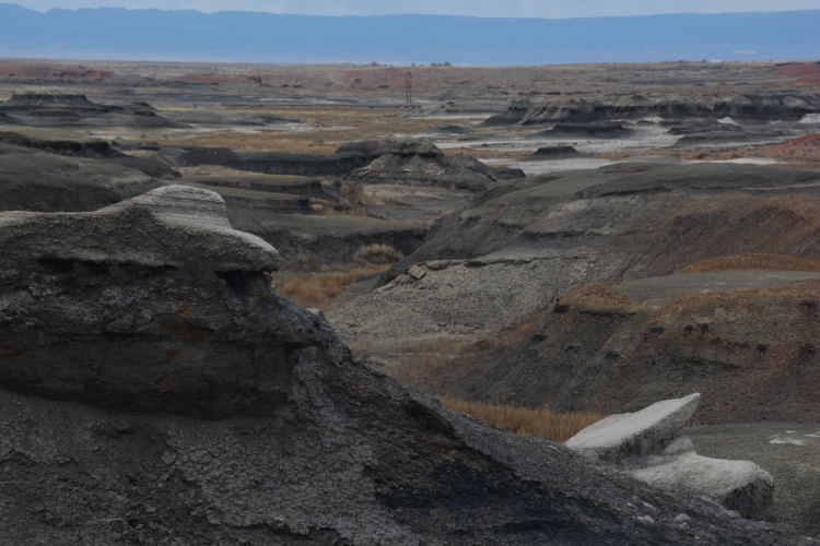 bisti wilderness